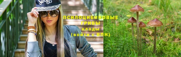 ECSTASY Аркадак